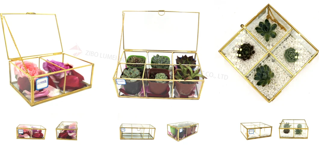 Vintage Brass Frame and Glass Display Case for Decorative Cube Plant Terrarium