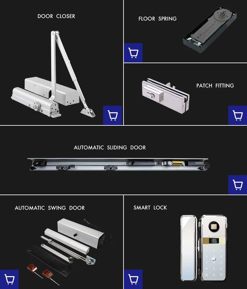 Economic Tyle Single Cylinder Floor Spring Hinge for Glass HD130/2