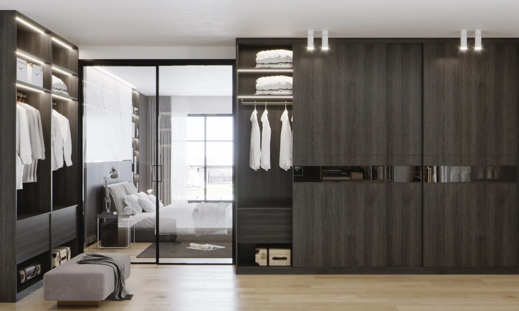Holike Customized Modern Style Luxury Storage Wardrobes for Bedroom Furniture