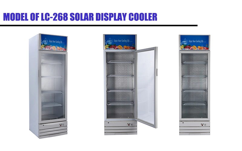 Beverage 12V/24V DC 9.5 Cu. FT Cooling Drinks Solar Display Glass Showcase
