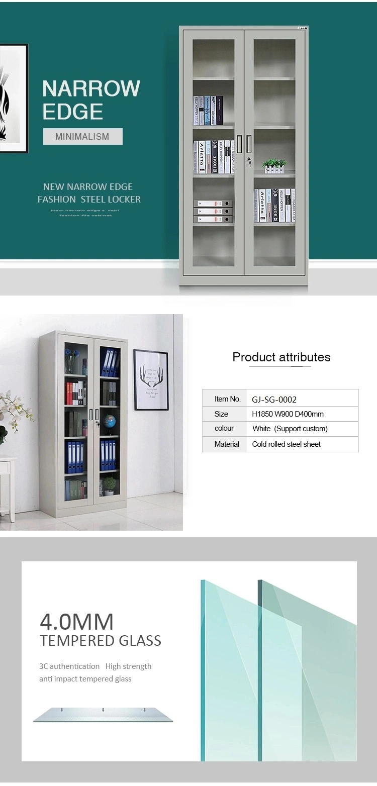 Modern Furniture Design Fire Resistant Cabinet 2 Glass Door 4 Shelves Medical Cabinet