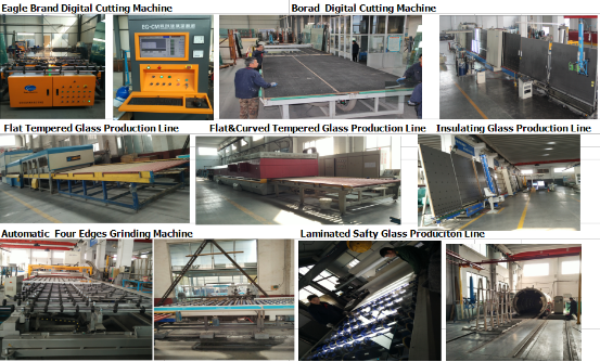 Used for Curtain Wall DuPont Sgp Laminated Glass