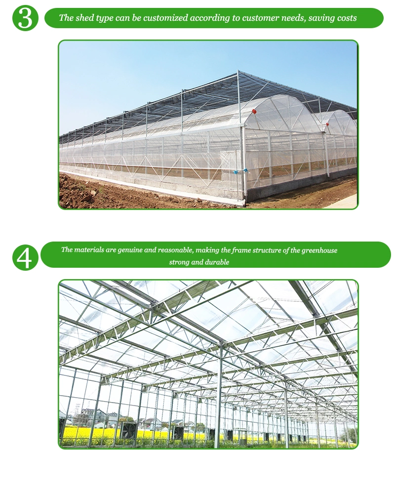 Initiative Hollow Insulated Building Facade Glass Greenhouse Tempered for Cucumber/Cauliflower/Rpe/Bell Pepper/Mushroom