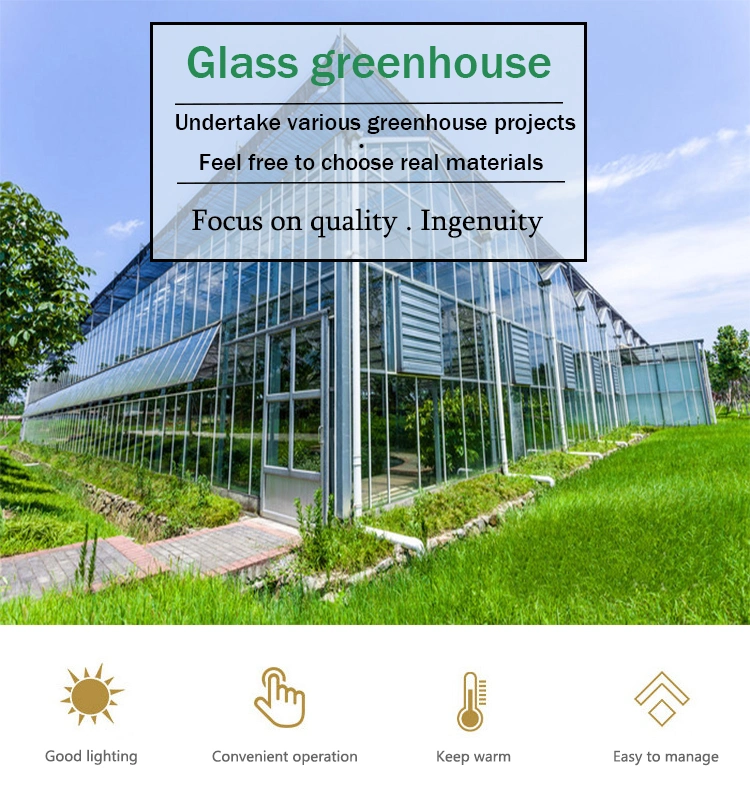 Initiative Hollow Insulated Building Facade Glass Greenhouse Tempered for Cucumber/Cauliflower/Rpe/Bell Pepper/Mushroom
