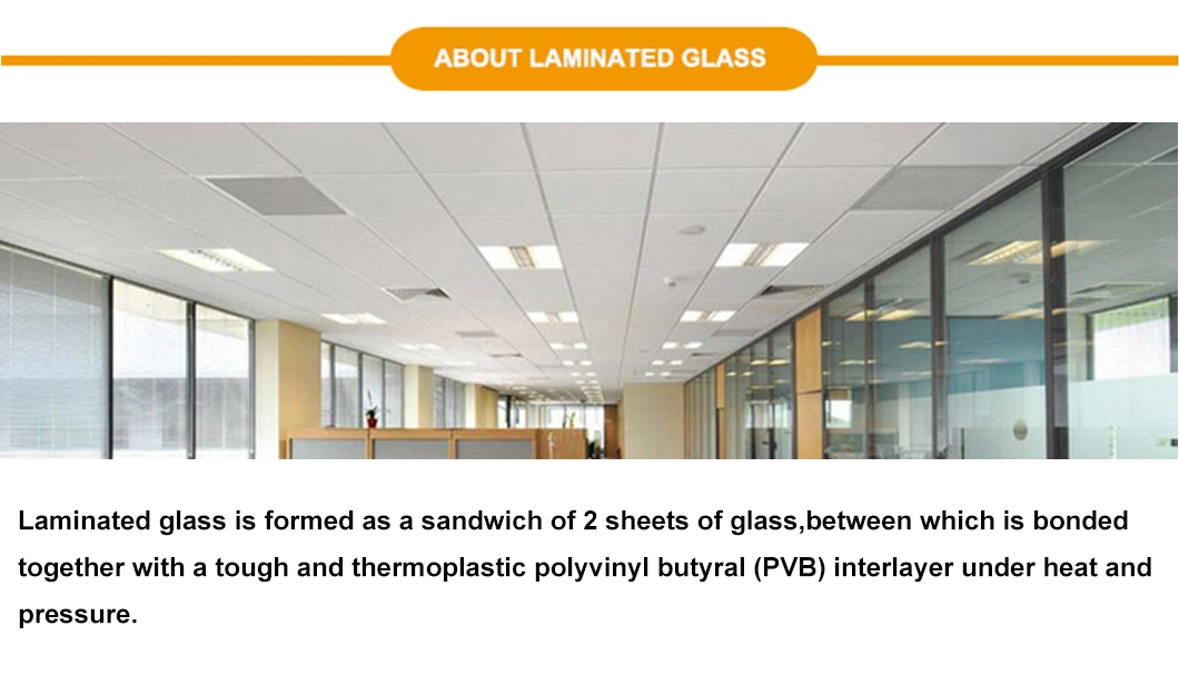 Factory Direct Sale Tempered Laminated Glass PVB Sgp Low Iron Glass for Building