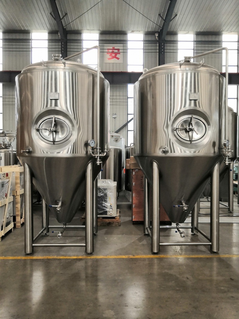 100L Commercial Beer Brewing Fermentation Tank, Selling Beer Equipment Fermentation System