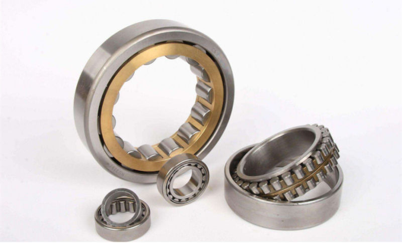 Big China Producer SL024860 SL014860 Double Row Cylindrical Roller Bearing for Reduction Gears