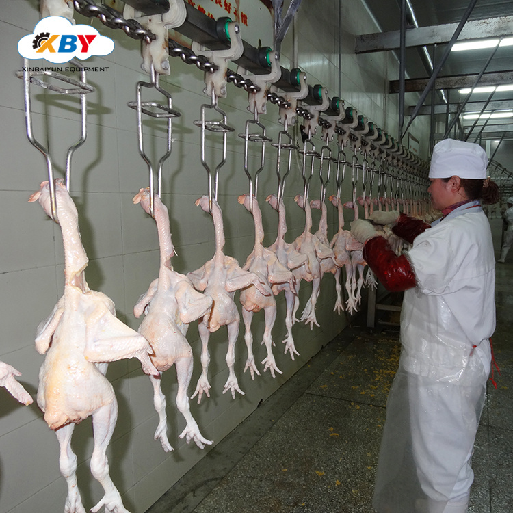 Small Production 1000bph Slaughterhouse of Poultry Production