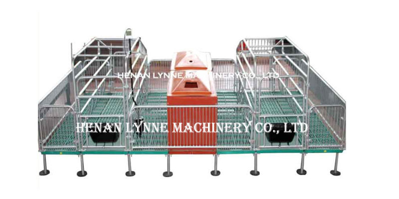 Galvanized Steel Pig Crates with Auto Water Drinker/Feeder From China Supplier