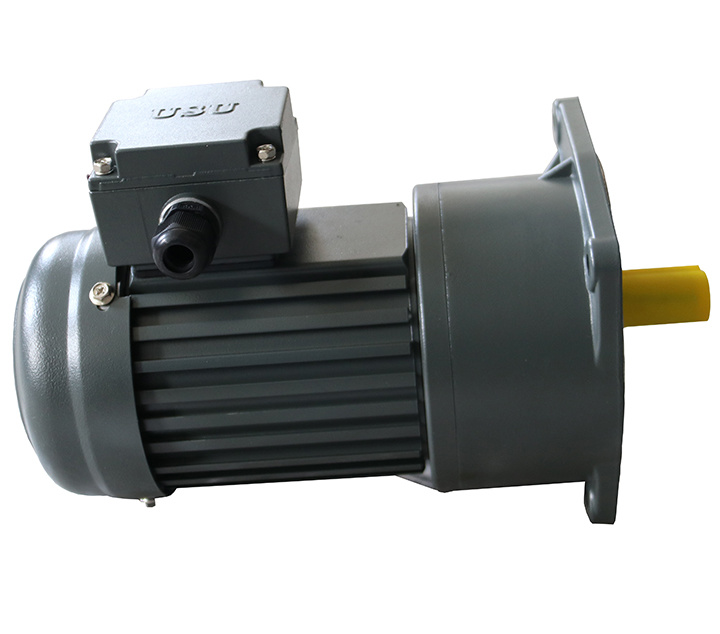 Chinese Manufacturer Gear Reducer with Gear Motor