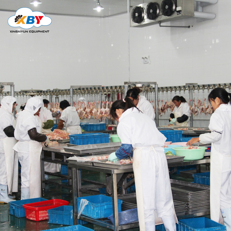Small Production 1000bph Slaughterhouse of Poultry Production