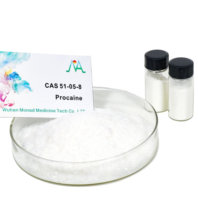 Procaine HCl/ Benzocaine/Lidocaine Supplier CAS 51-05-8 for Local Anesthetic Chinese Supplier