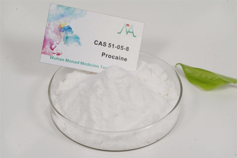 Procaine HCl/ Benzocaine/Lidocaine Supplier CAS 51-05-8 for Local Anesthetic Chinese Supplier