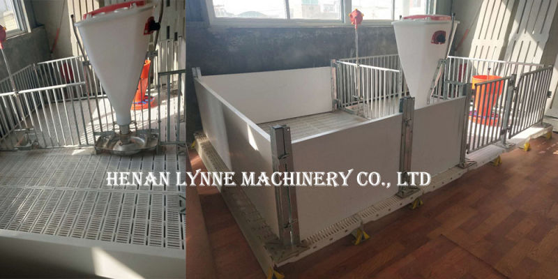 Galvanized Steel Pig Crates with Auto Water Drinker/Feeder From China Supplier