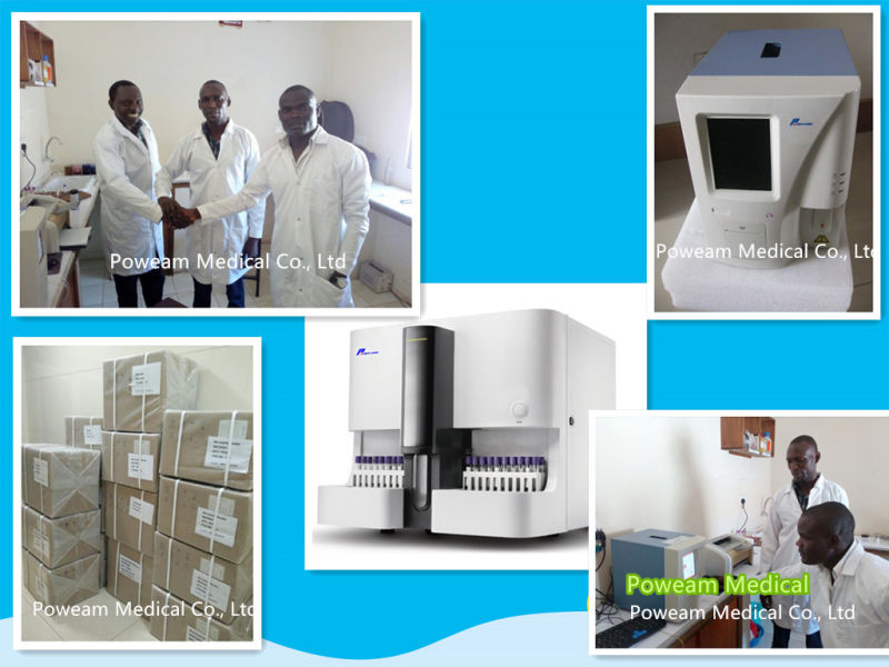 Three Differential Automatic Hematology Analyzer (WHY6280)
