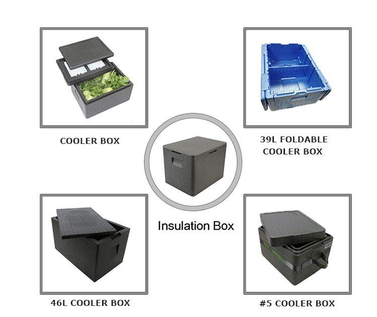 Insulated Fish Shipping Boxes Supplier in China