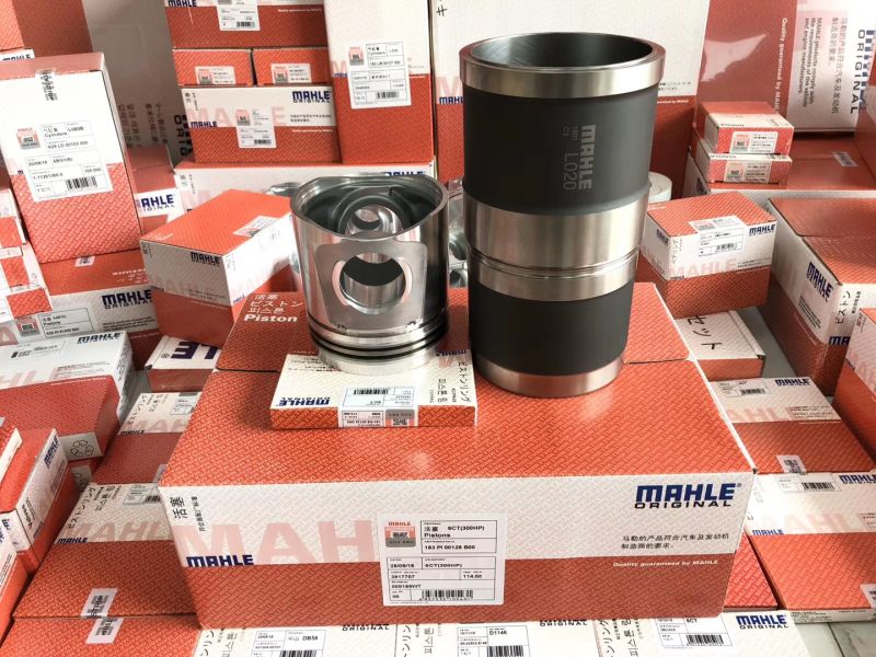 Mahle Brand Cylinder Piston Liner Kit for Engine S6K Model