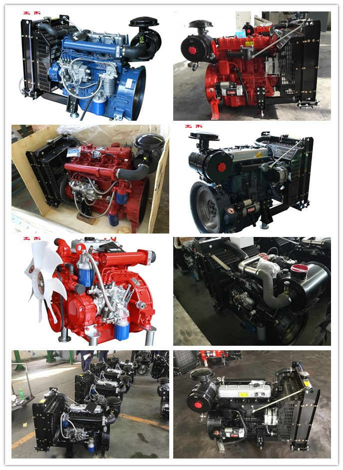 Two Cylinders Diesel Engine for Construction Machinery Use