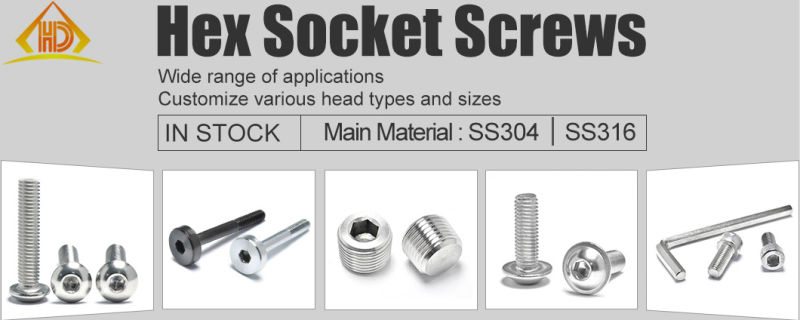 Ss Golden Supplier 304 M2-M16 Cylinder Head Hex Socket Screws