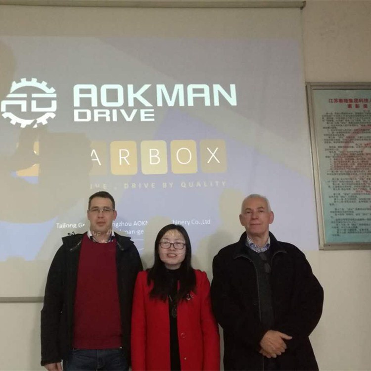 Aokman Best Quality ATA Series Shaft Mounted Gearbox