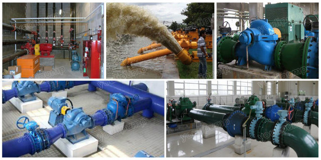 China Supplier Horizontal Double Suction Engine Farm Irrigation Pump