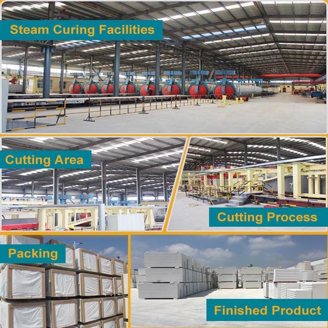 Aerated Concrete Blocks Manufacturing Process AAC Blocks
