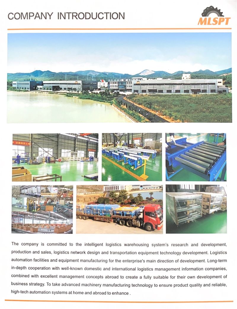 Chinese Factory Roller Chain Conveyor with Motor