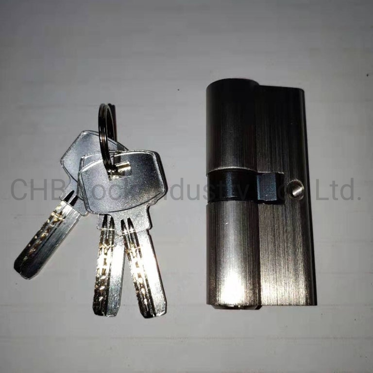 OEM Manufacturer Brass Door Lock Cylinder (LCC-C119)