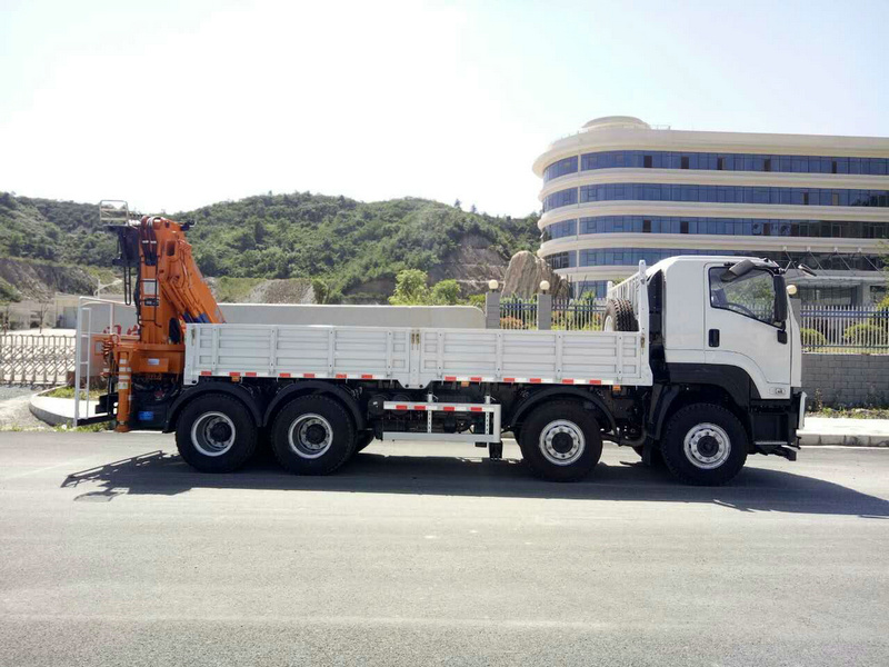 Crane manufacturer Hydraulic Cylinders 10 tons truck Cranes