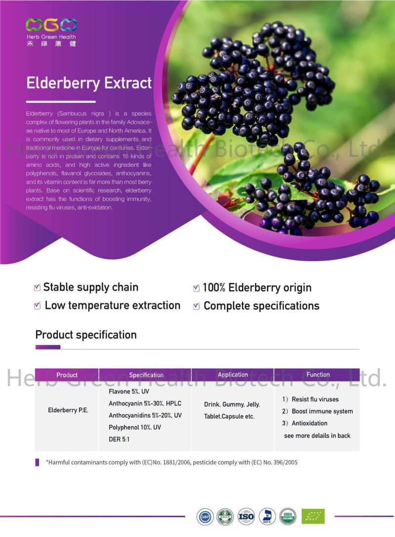 Natural Flavone Black Elderberry Extract