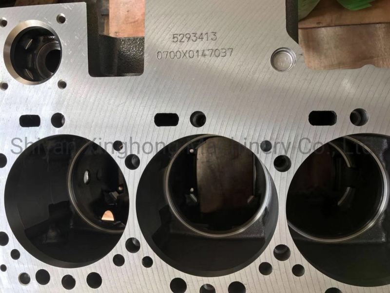 Cylinder Block 5293413/4947363/5260561 for Dcec Dongfeng 6CT8.3 Diesel Engine Part