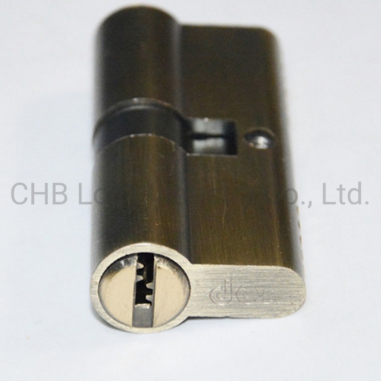 OEM Manufacturer Brass Door Lock Cylinder (LCC-C119)
