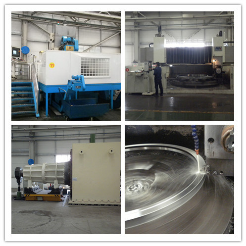 Zys Wheel Bearing Yrt120 Rotary Table Bearing for CNC Machine